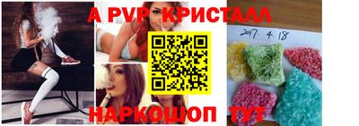 таблы Кингисепп