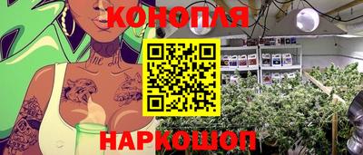 таблы Кингисепп