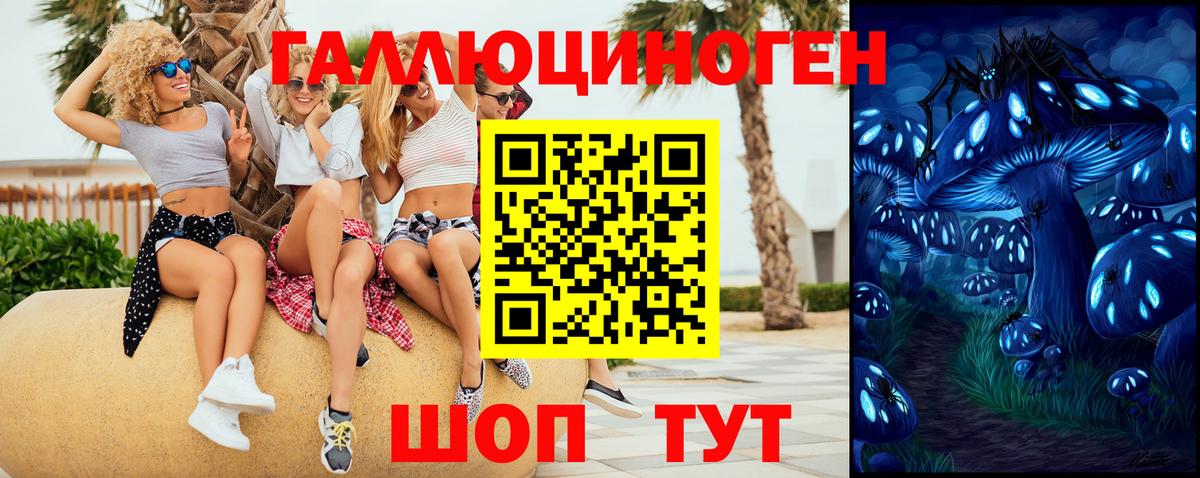 как найти   Галлюциногенные грибы GOLDEN TEACHER  Псилоцибиновые грибы Cubensis  Вход с VPN  Шадринск 
